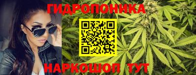 прущие грибы Ипатово